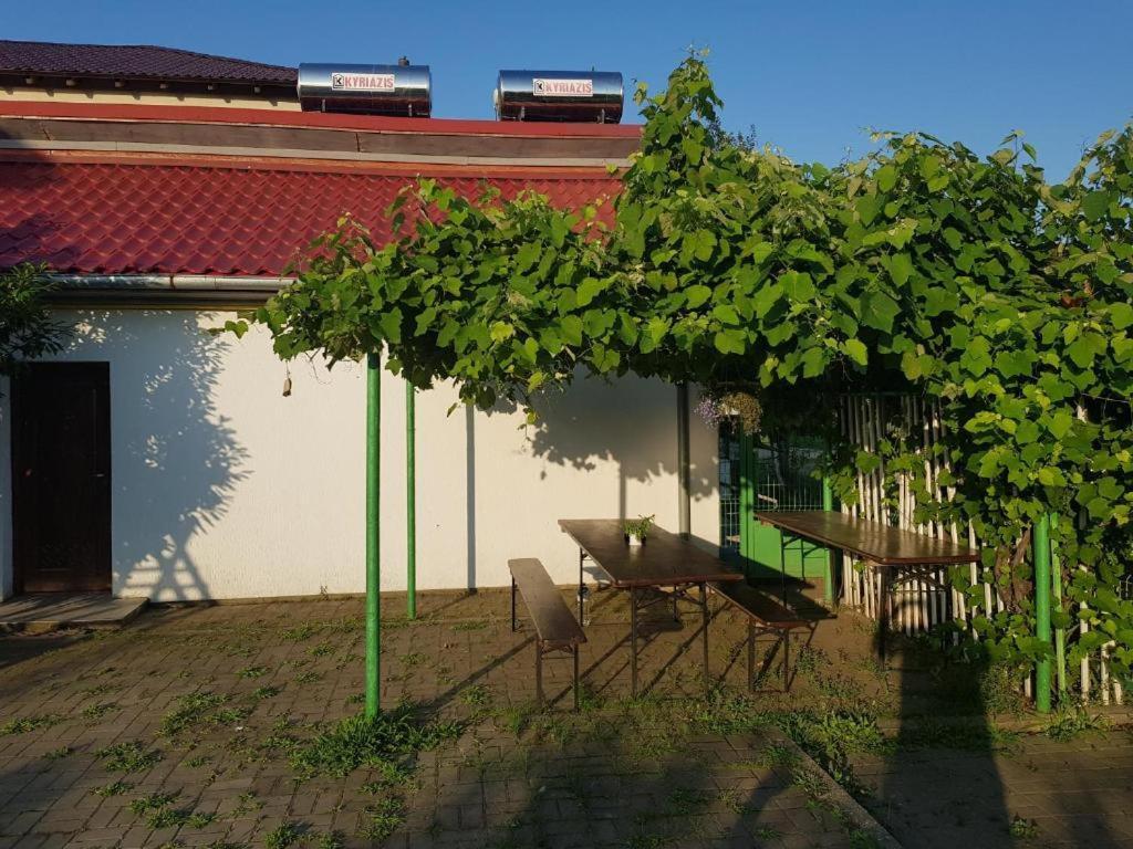 Vila Orizont Vénus Extérieur photo