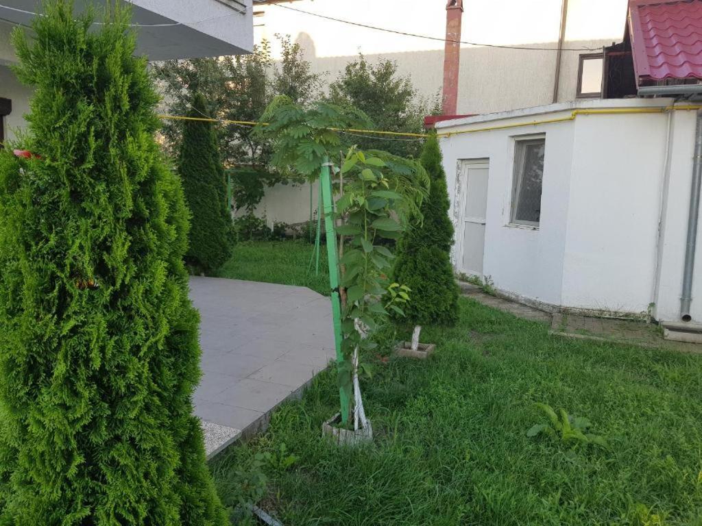 Vila Orizont Vénus Extérieur photo